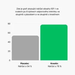 Náhled 2