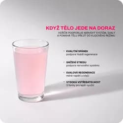 Náhled 2