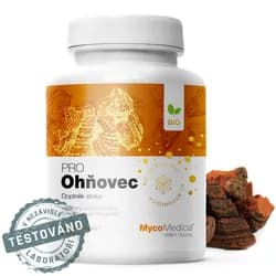 MycoMedica Ohňovec PRO extrakt, 90 rostlinných kapslí