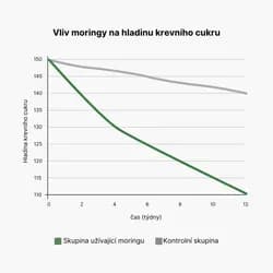 Náhled 2