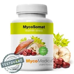 MycoMedica MycoSomat, kombinace extraktů z hub a bylin, 90 rostlinných kapslí