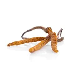 Náhled 2